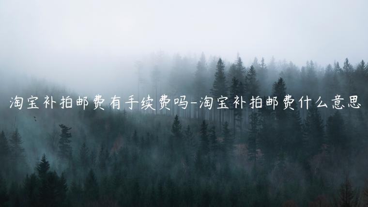 淘寶補(bǔ)拍郵費(fèi)有手續(xù)費(fèi)嗎-淘寶補(bǔ)拍郵費(fèi)什么意思